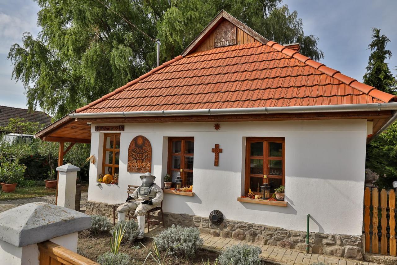 Mezes Vendeghaz Es Apiterapias Koezpont Hotel Vizsoly Exterior photo