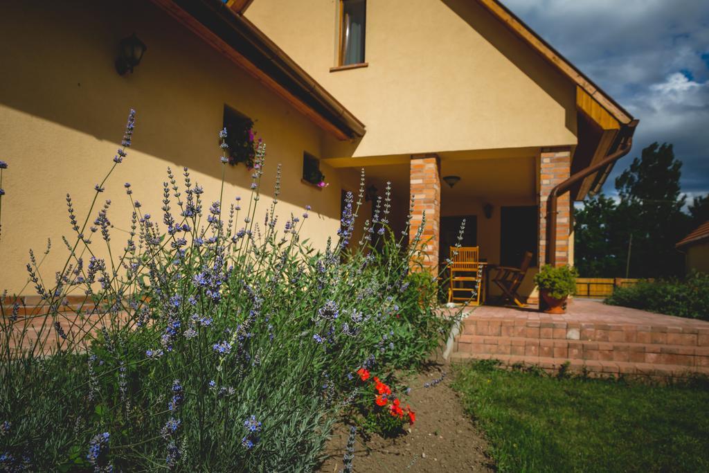 Mezes Vendeghaz Es Apiterapias Koezpont Hotel Vizsoly Exterior photo